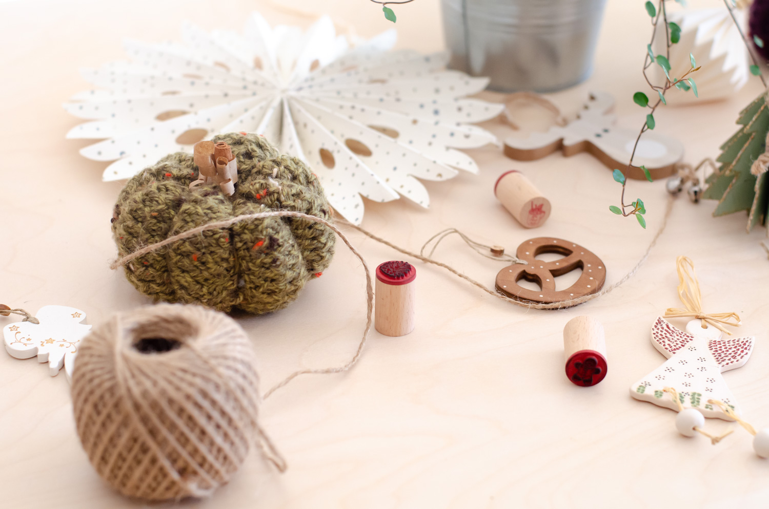 Le calendrier de l'Avent des plantes – Image 4